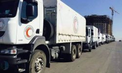 قادمةً من إسطنبول: قافة برية إلى حلب