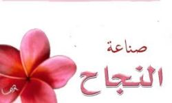 صناعة النجاح وصناعة الفشل